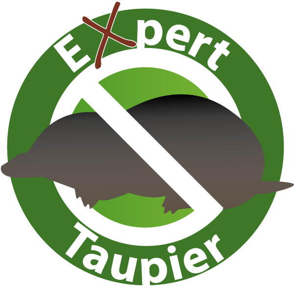 Expert-taupier.be